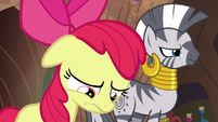 Apple Bloom unhappy; Zecora looking serious S6E4