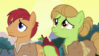 Apple farmer ponies looking at a dead tree S7E16