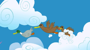 Ducks flying S1E23