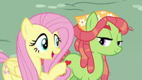 Fluttershy introduces Discord to Tree Hugger S5E7