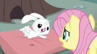 Fluttershy mimes hopping to Zecora's hut S9E18