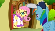 Fluttershy udaje chorą na ospę (zwyczajną)