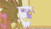 Wrong end Gilda