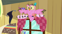 Owlowiscious with pink feathers S03E11