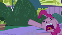 Pinkie Pie "a suspicious-looking cookie!" S9E17