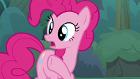 Pinkie Pie "aren't they back there?" S8E13