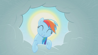 Rainbow Dash looking down upon the world.