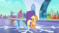 Rainbow Dash guard dog S3E2