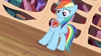 Rainbow Dash looking at element S3E13