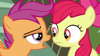 Scootaloo -we've got responsibilities now- S5E4