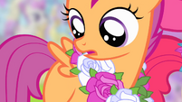 Scootaloo looks at her blank flank S4E05