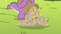 Spike pouring chicken feed on the grass S6E10