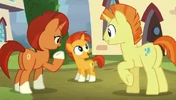 Sunburst's family thumb ID S5E26