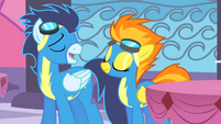 Two of the Wonderbolts chatting.