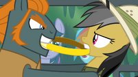 Thug trying to pull the ring away from Daring Do S4E04