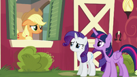 Twilight "get somepony else in your family to take over" S6E10