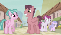 Village ponies mingling S5E1