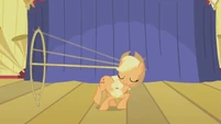 Show them the moves, Applejack.