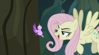 Fake Fluttershy "why don't you fly up" S8E13