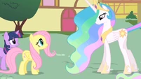 Listen Fluttershy, I'm not mad.