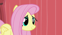 Fluttershy coming to the stage S02E19