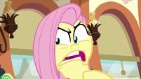 Fluttershy continues her outburst S6E18.png (798 KB)