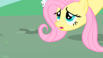 Fluttershy lowers her head so the mice can reach the ground safely S1E26