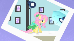 Fluttershy photoshoot 2 S1E20