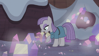 Maud Pie looks for the obsidian S5E20