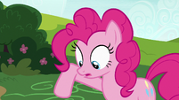 Pinkie Pie looking down at Tank S7E4