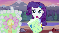 Rarity "what are you doing?" EG4