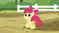 S03E09 Apple Bloom prosi siostrę