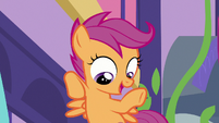 Scootaloo -the students get to do- S8E12