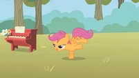 Scootaloo is done spinning.