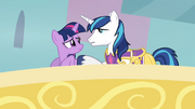 Shining Armor Consoles Twilight S02E25