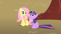 Twilight and Fluttershy lose sight of Philomena S01E22