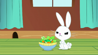 Angel Bunny looking annoyed S6E11