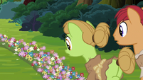 Apple farmer ponies looking at trail of flowers S7E16