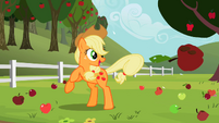Applejack hit an Apple with her tail. Off it goes!