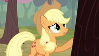 Applejack never had S2E14