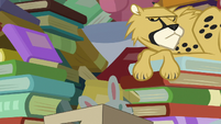 Cheetah looking at Goldie Delicious S7E13