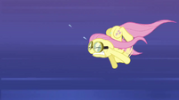 Fluttershy straining to keep up S2E22