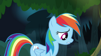 Rainbow Dash calming down S4E04