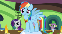Rainbow Dash pleads with Fluttershy S03E10