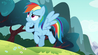 Rainbow Dash thinking S6E6