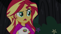 Sunset Shimmer --in the middle of the night--- EG4