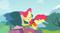 Apple Bloom holding a rolled map S4E09