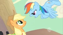 Applejack being confronted by Rainbow Dash.