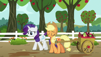 Applejack declining Rarity's request S8E4