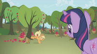 Applejack knocks an apple bucket over S1E04